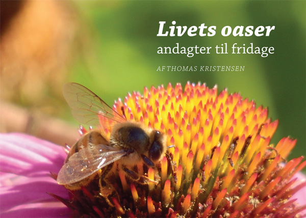 Livets oaser - andagter til fridage