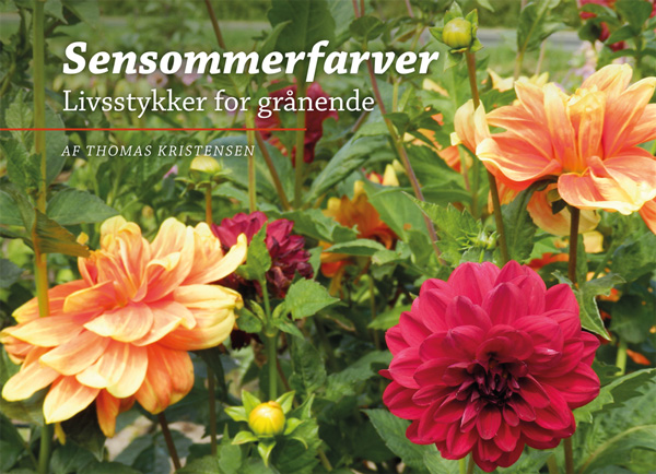 Sensommerfarver - livsstykker for grånende